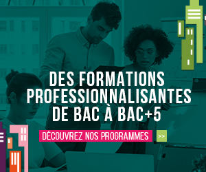 Formations professionnelles 